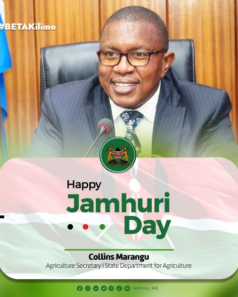 Happy Jamhuri - Marangu