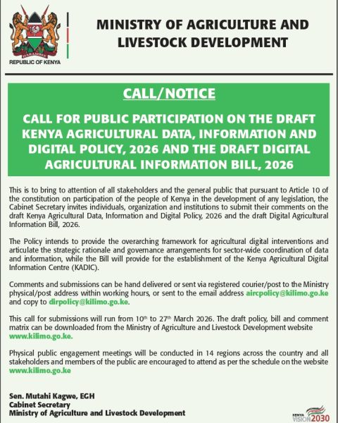 WhatsApp Image 2026-03-09 at 15.22.32 (1)