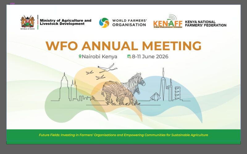 WFO