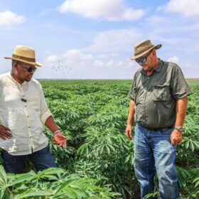 Agriculture sector officials engage development partners on trade cooperation and market access.