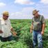 Agriculture sector officials engage development partners on trade cooperation and market access.