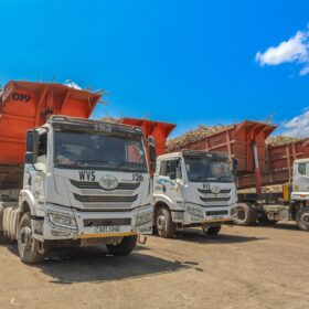 Trucks deliver sugarcane to West Valley Sugar Company for processing.