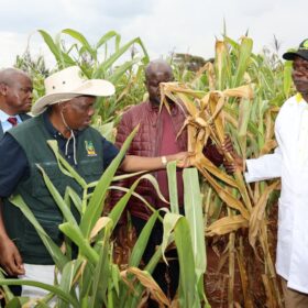 Agriculture Principal Secretary Dr. Kipronoh Ronoh Paul, CBS, engages farmers during a crop failure assessment tour in Trans Nzoia and Uasin Gishu Counties.