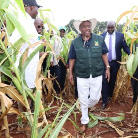 Agriculture Principal Secretary Dr. Kipronoh Ronoh Paul, CBS, engages farmers during a crop failure assessment tour in Trans Nzoia and Uasin Gishu Counties.