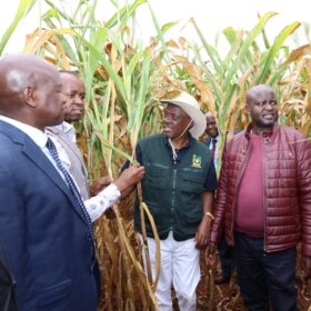 Agriculture Principal Secretary Dr. Kipronoh Ronoh Paul, CBS, engages farmers during a crop failure assessment tour in Trans Nzoia and Uasin Gishu Counties.