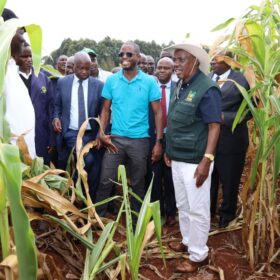 Agriculture Principal Secretary Dr. Kipronoh Ronoh Paul, CBS, engages farmers during a crop failure assessment tour in Trans Nzoia and Uasin Gishu Counties.