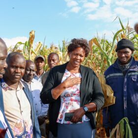 Agriculture Principal Secretary Dr. Kipronoh Ronoh Paul, CBS, engages farmers during a crop failure assessment tour in Trans Nzoia and Uasin Gishu Counties.
