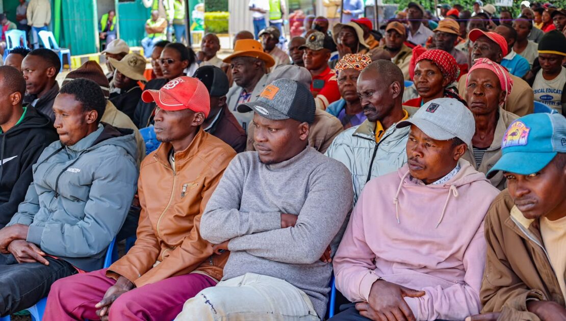 Agriculture Principal Secretary Dr. Kipronoh Ronoh, CBS, engages farmers and stakeholders in Bomet County on tea sector reforms, avocado value chain development, and farmer empowerment.