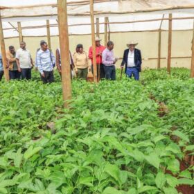 Agriculture Principal Secretary Dr. Kipronoh Ronoh, CBS, engages farmers and stakeholders in Bomet County on tea sector reforms, avocado value chain development, and farmer empowerment.