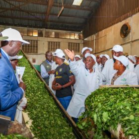 Agriculture Principal Secretary Dr. Kipronoh Ronoh, CBS, engages farmers and stakeholders in Bomet County on tea sector reforms, avocado value chain development, and farmer empowerment.