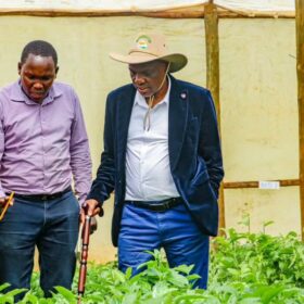 Agriculture Principal Secretary Dr. Kipronoh Ronoh, CBS, engages farmers and stakeholders in Bomet County on tea sector reforms, avocado value chain development, and farmer empowerment.